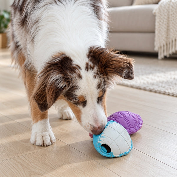 Chewster Turtleshell, Blue