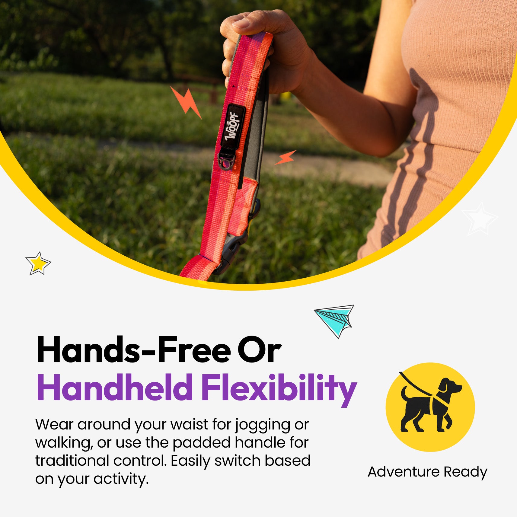 Laisse élastique d'explorateur