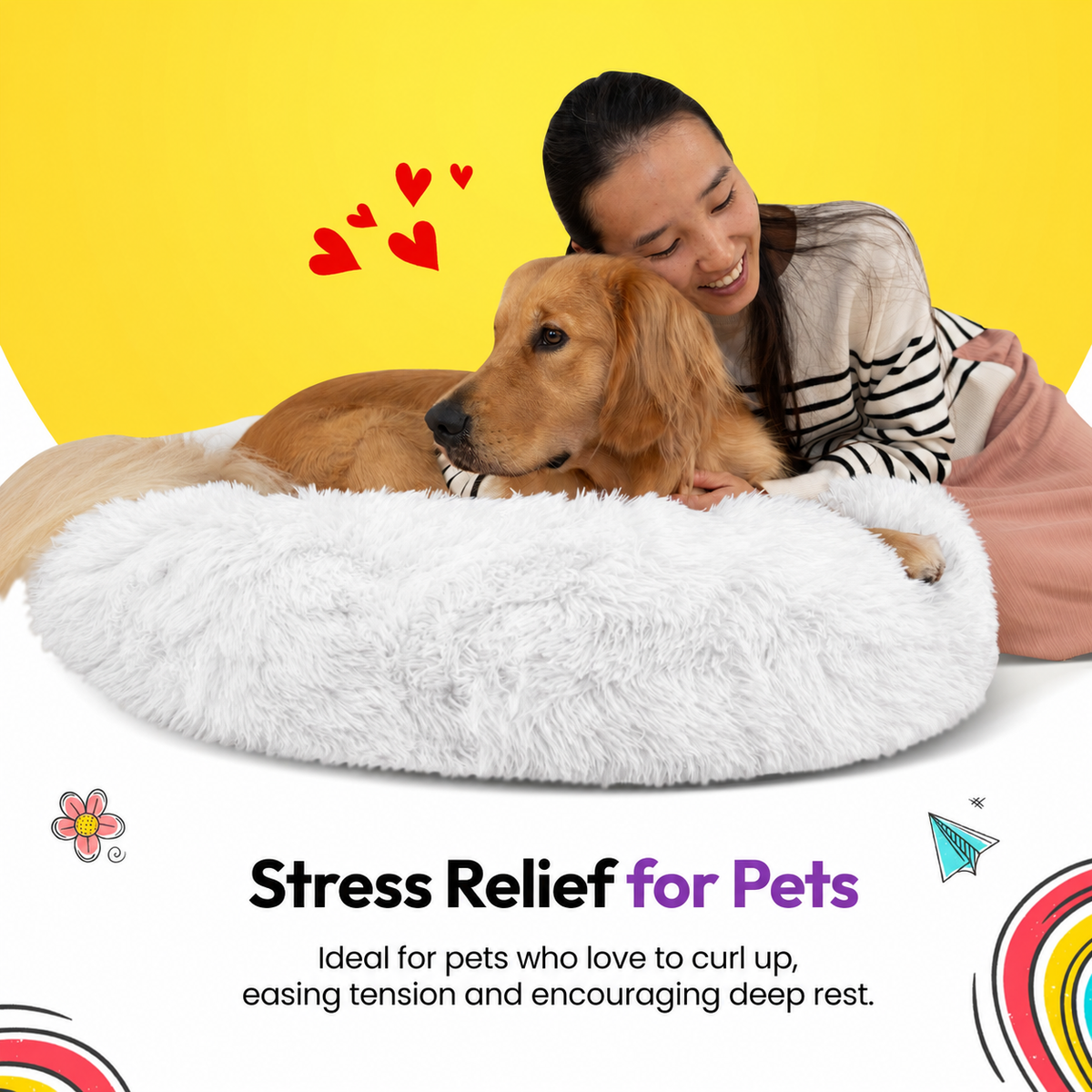 White | Fluffy Shag Calming Round Bed: Woman hugging a golden retriever in the White bed on a yellow graphic card