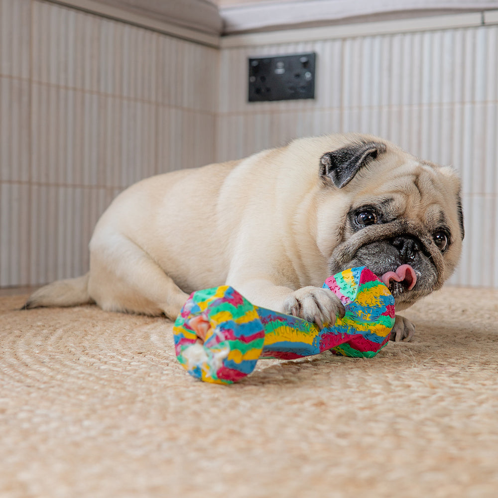 Chewster Blocky Bone, Rainbow