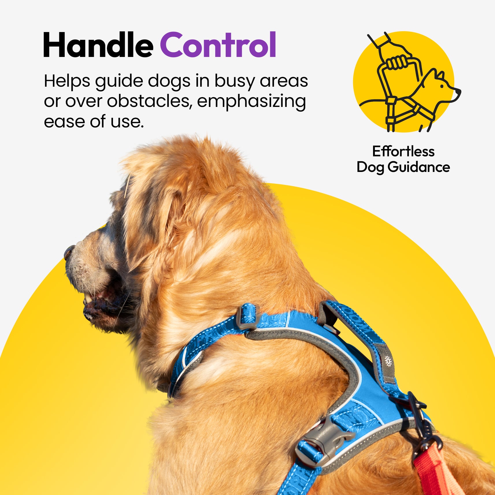 Entdecker Geschirr ohne Ziehen