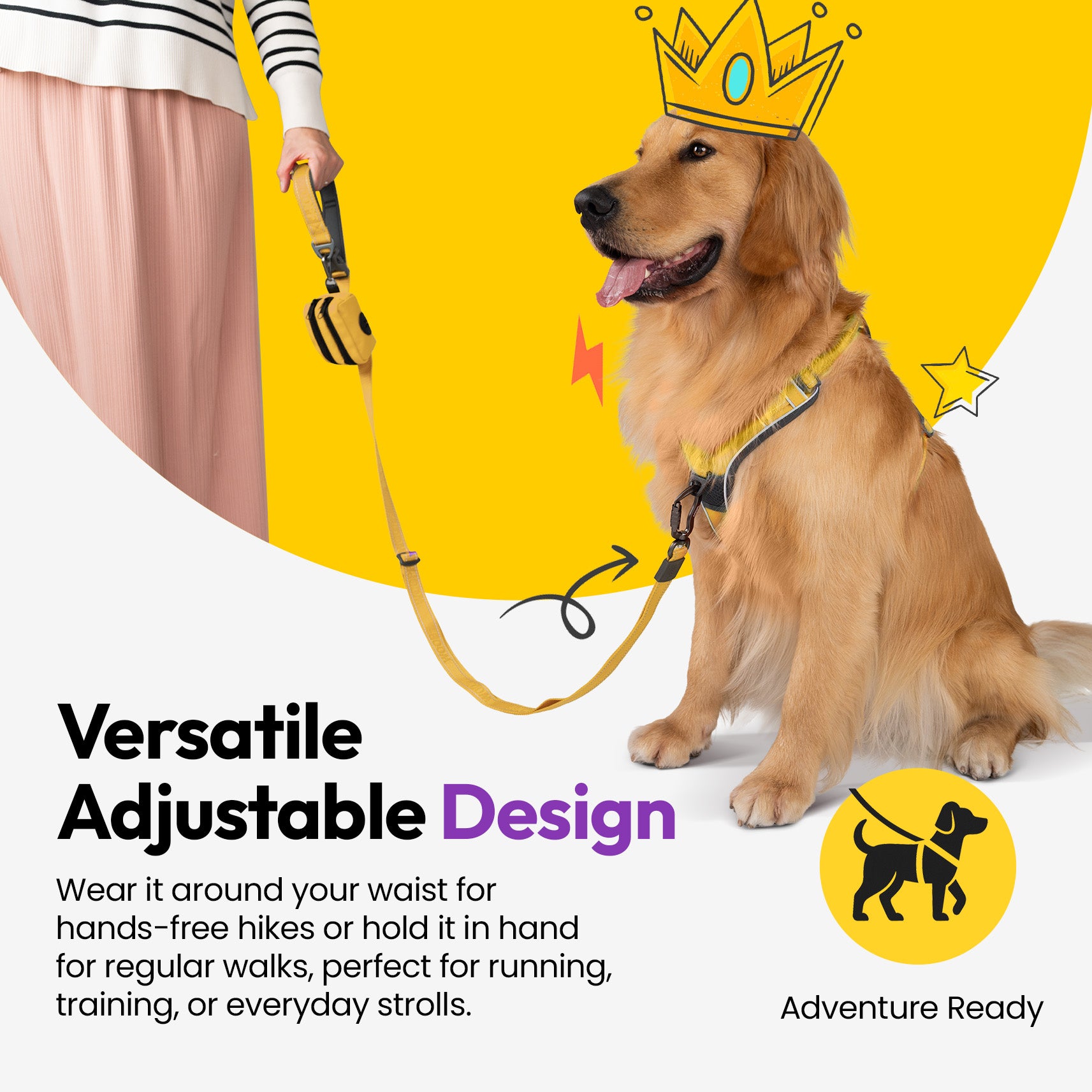 Laisse extensible Explorateur