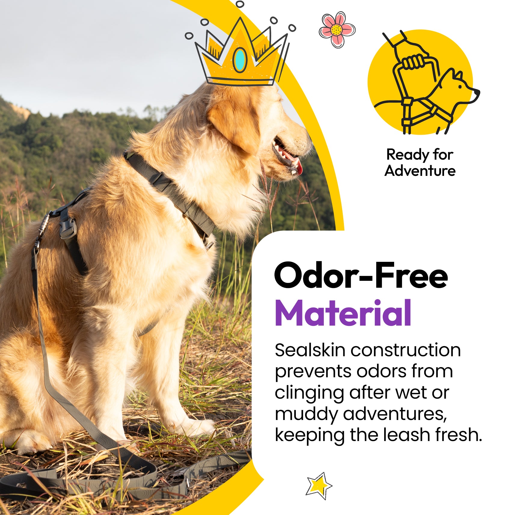 Sealskin Lightweight Leash