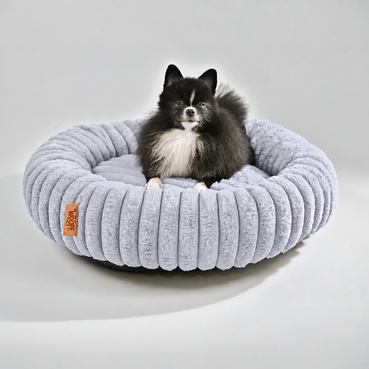 Grey | Furry Corduroy Round Bed: Black and white Pomeranian sitting in the Grey bed in a grey studio