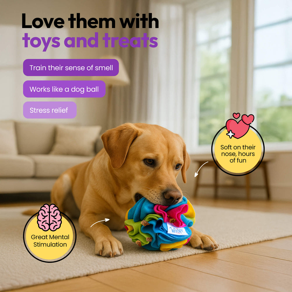 Chase & Sniff Bundle