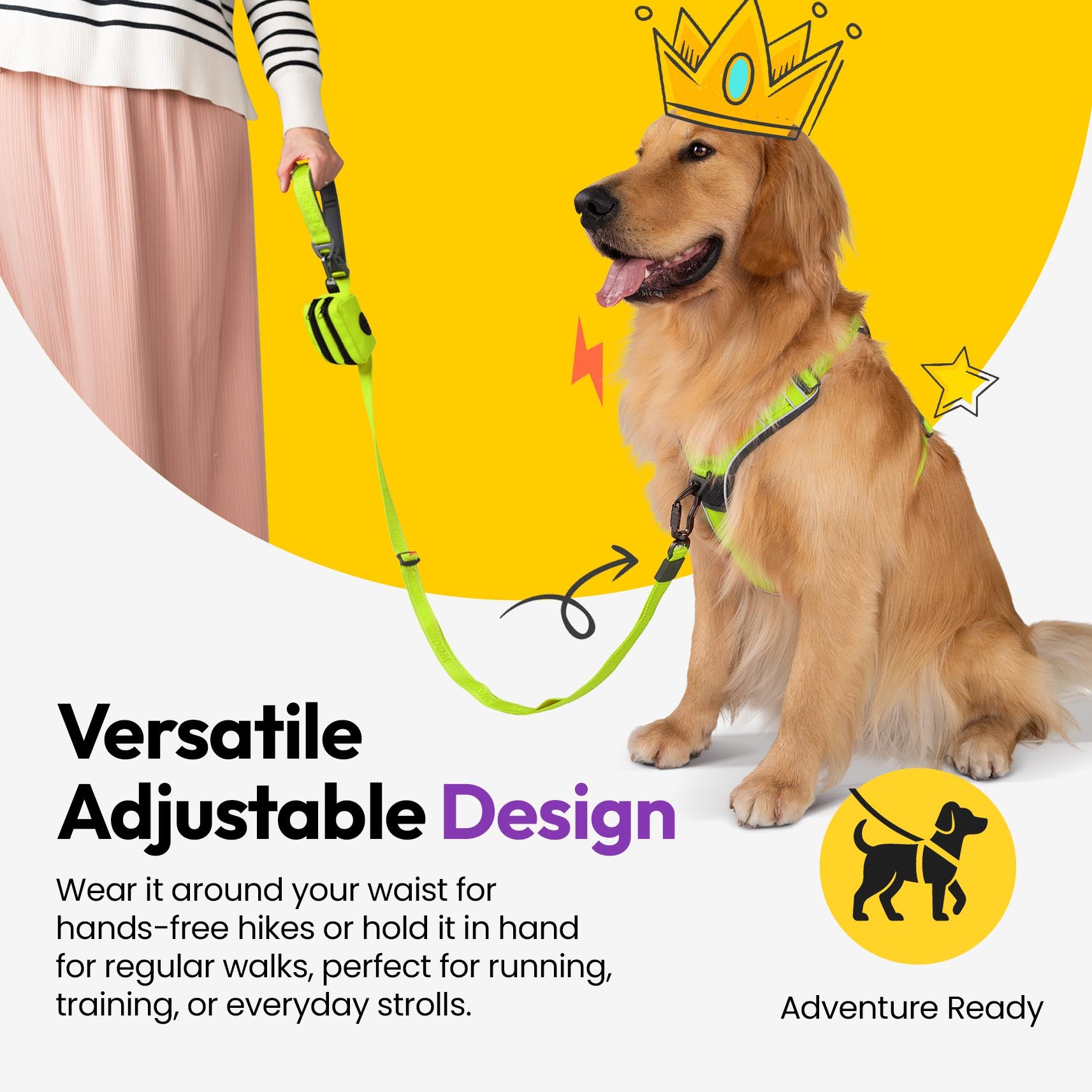 Laisse extensible Explorateur