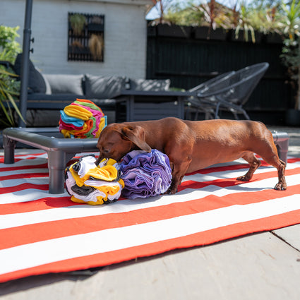 Snuffle Ball