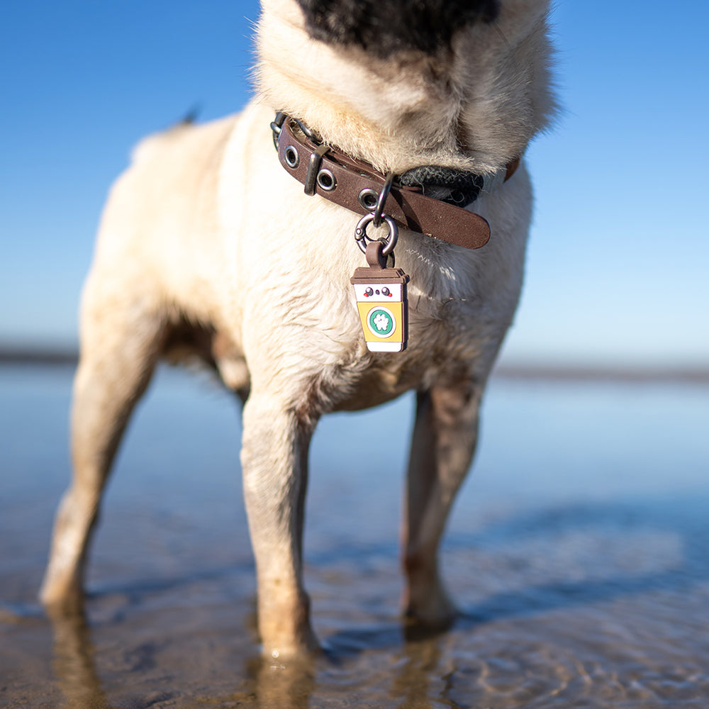 Smart ID Tag, Coffee