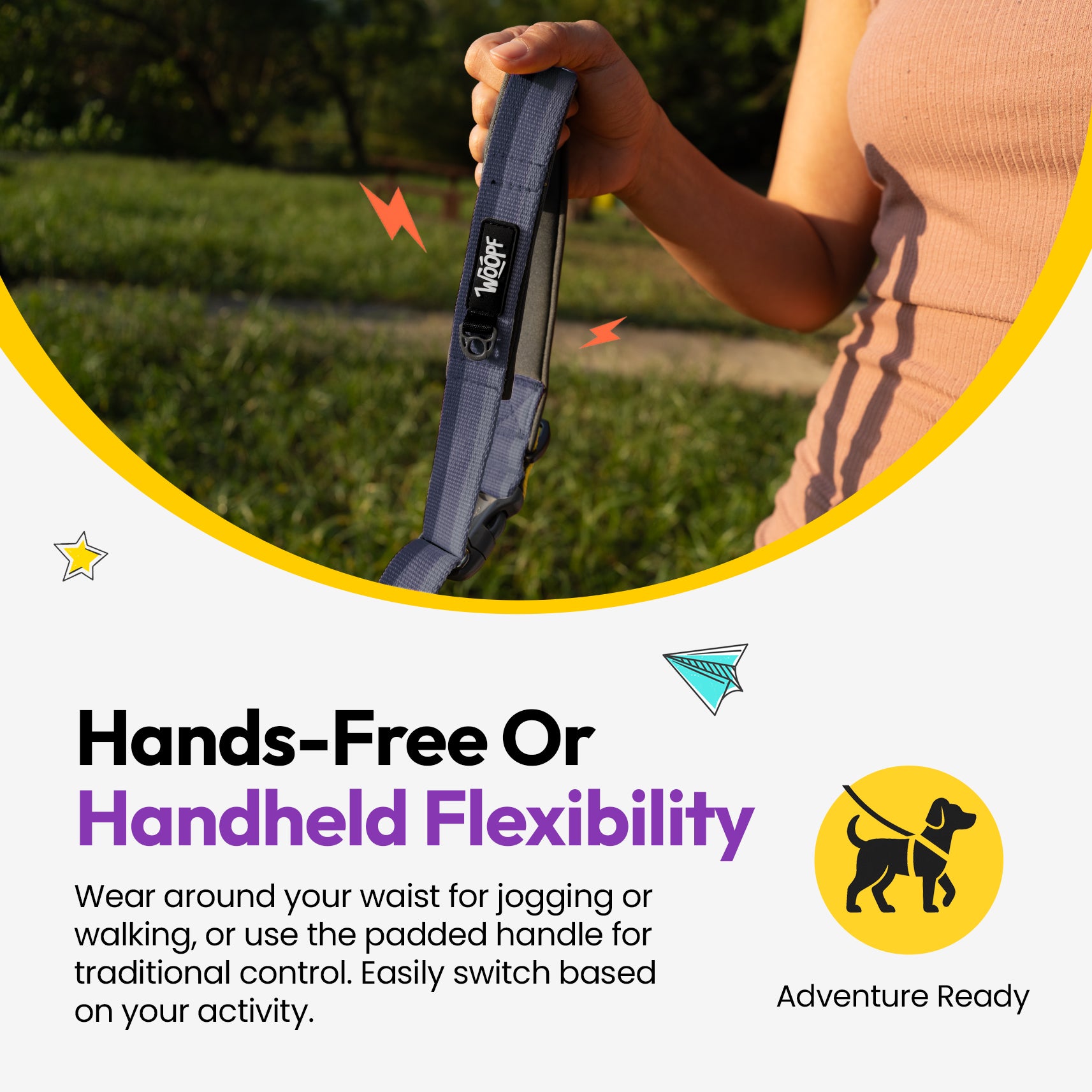 Laisse élastique d'explorateur