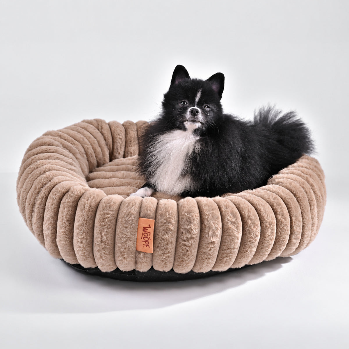 Brown | Furry Corduroy Round Bed: Black and white Pomeranian sitting in the Brown bed in a grey studio