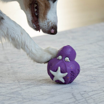 Chewster Octopus