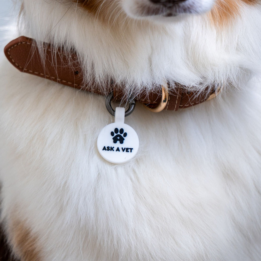 Smart ID Tag, White
