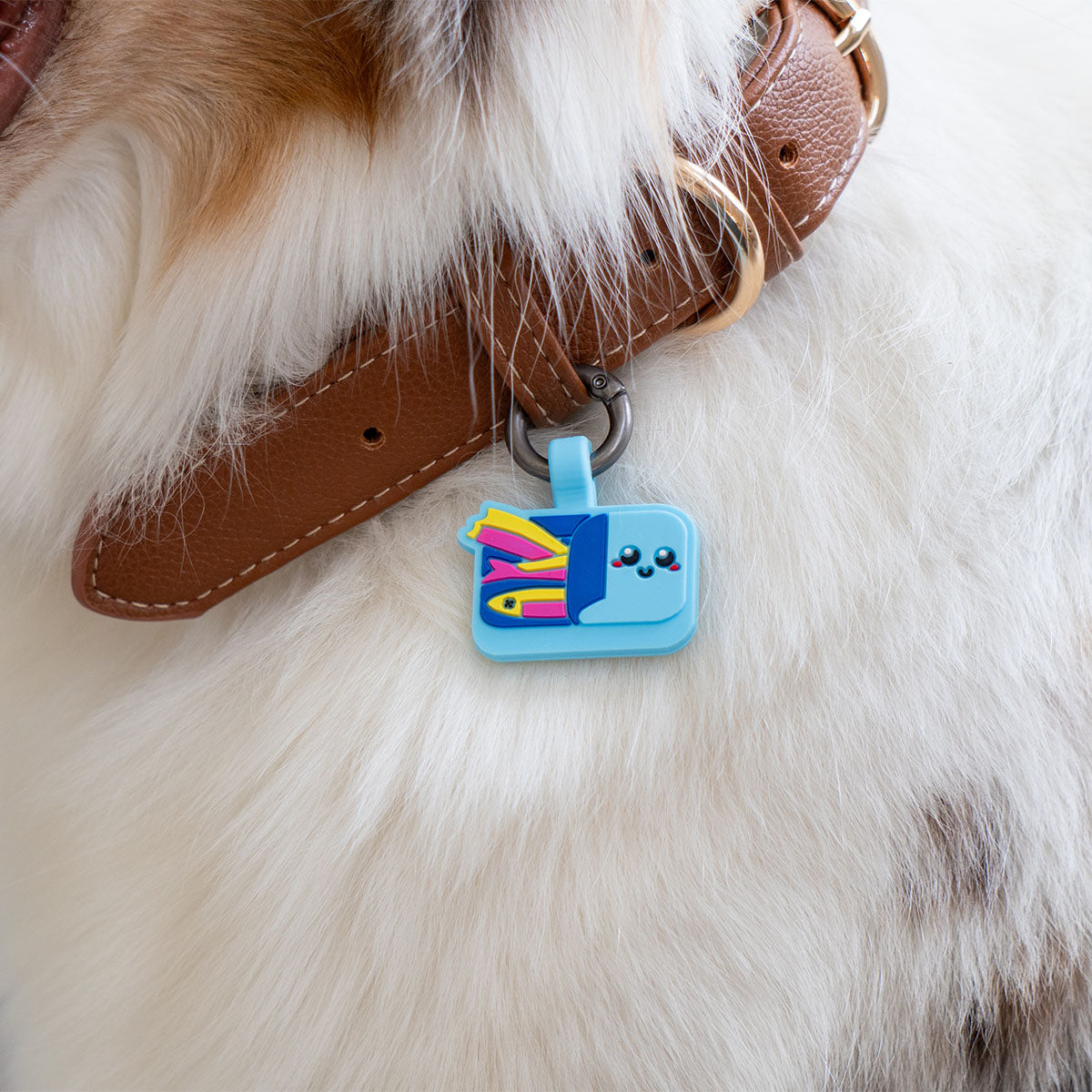 Sardines | Smart ID Tag: Close-up of the Sardines tag on a brown leather collar