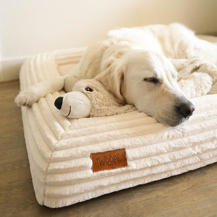 SNÜZ Orthopedic Corduroy Bed