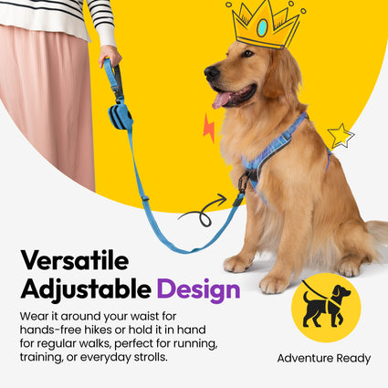 Explorer Adjustable Leash