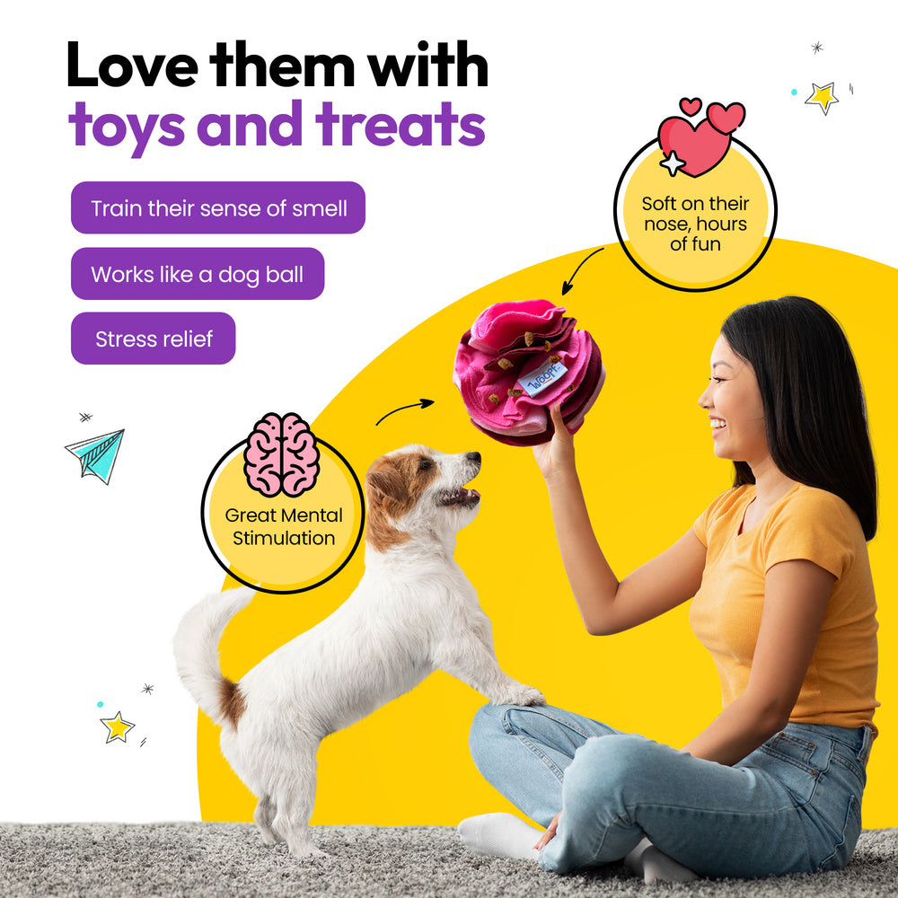 Snuffle Ball, Pink