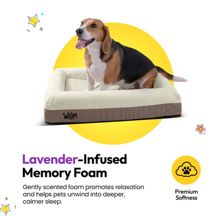 SNÜZ Orthopedic Suede Bed