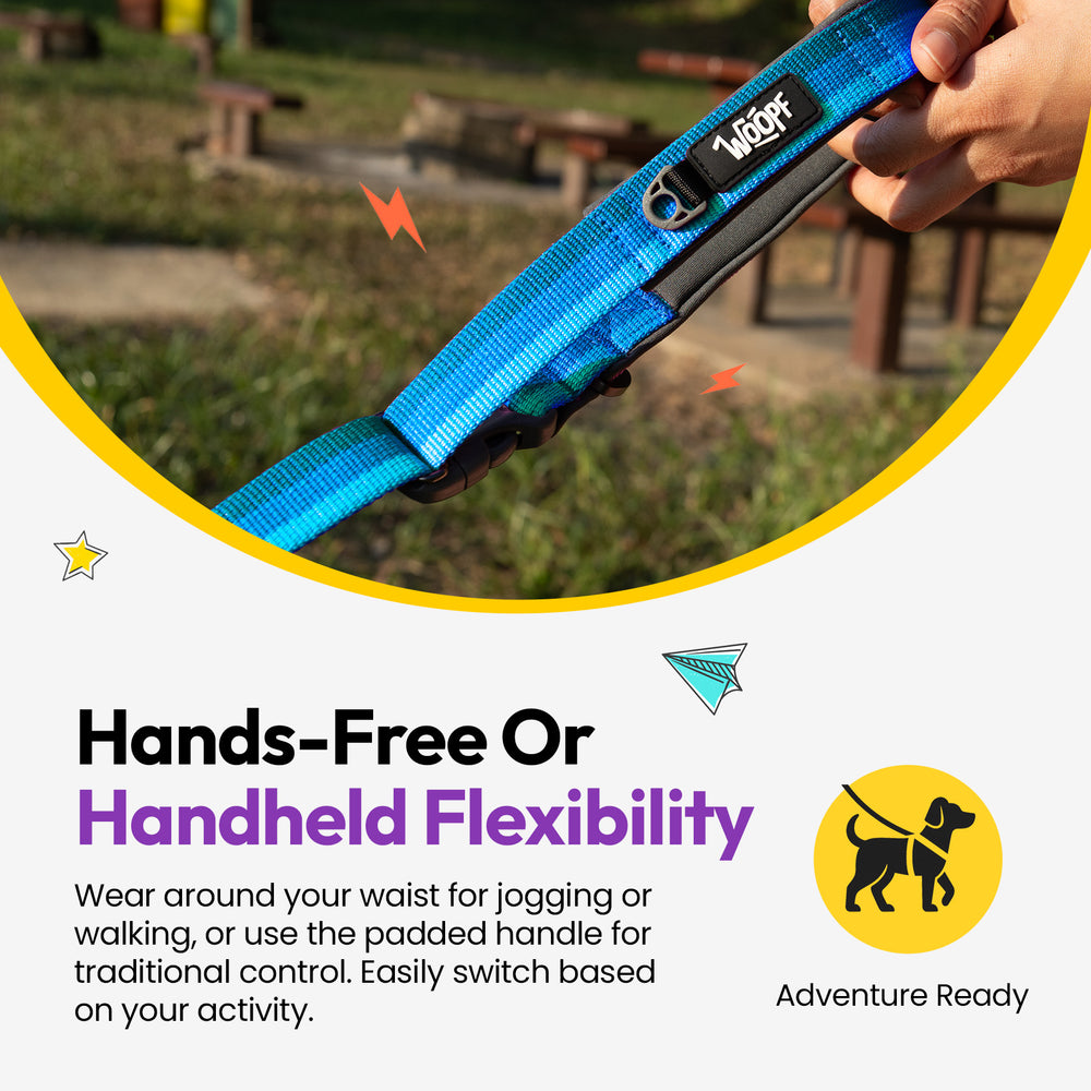 Explorer Bungee Leash, Blue