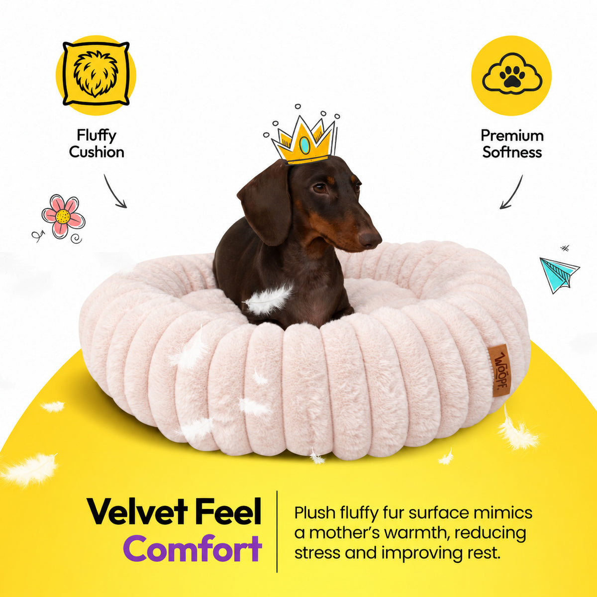 Pale pink | Furry Corduroy Round Bed: Dachshund in a paper crown in the Pale pink bed on a yellow graphic card