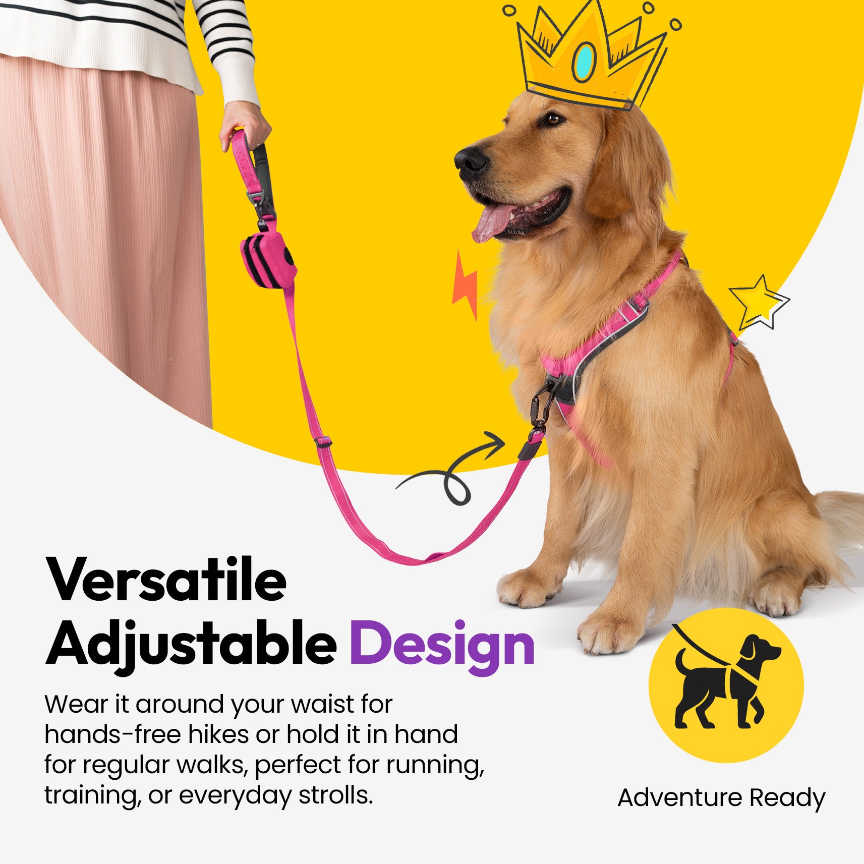 Laisse extensible Explorateur