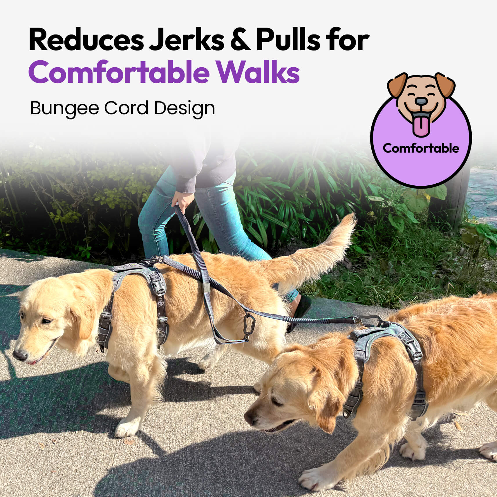 Explorer Dual Dog Walker Lead Attachment | No-Tangle Dual Dog Leash Adapter with Bungee Shock-Absorbing Webbing | Adjustable and Lightweight with 360° Swivel Clip | Walk 2 Dogs (Grey, Medium)
