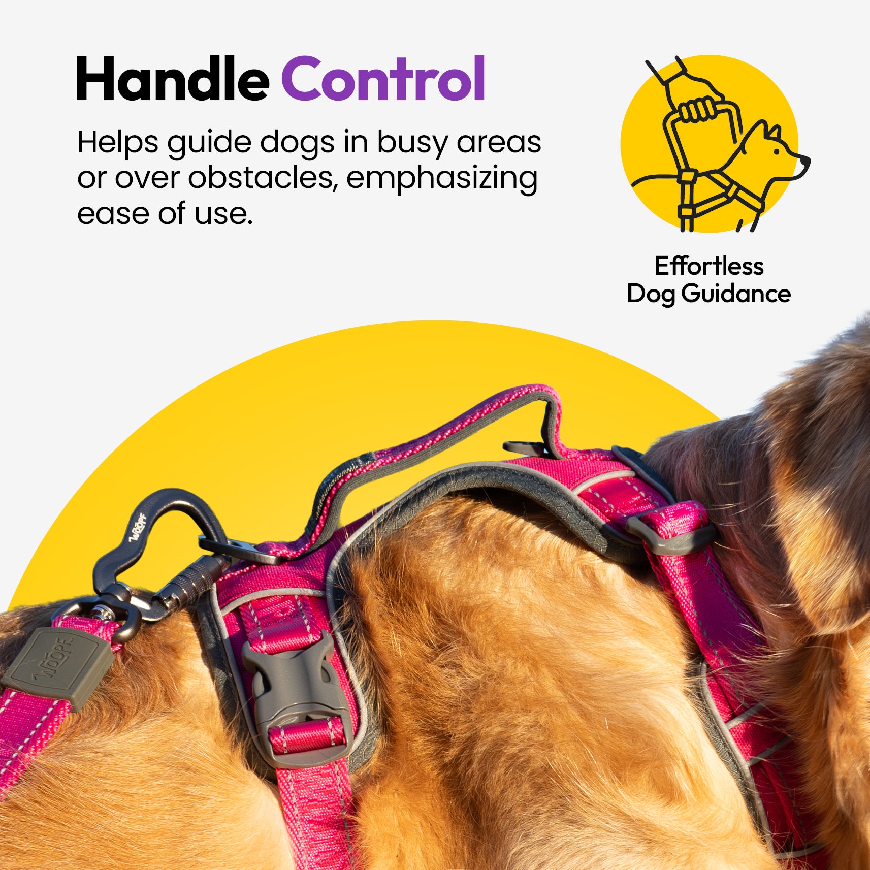 Entdecker Geschirr ohne Ziehen