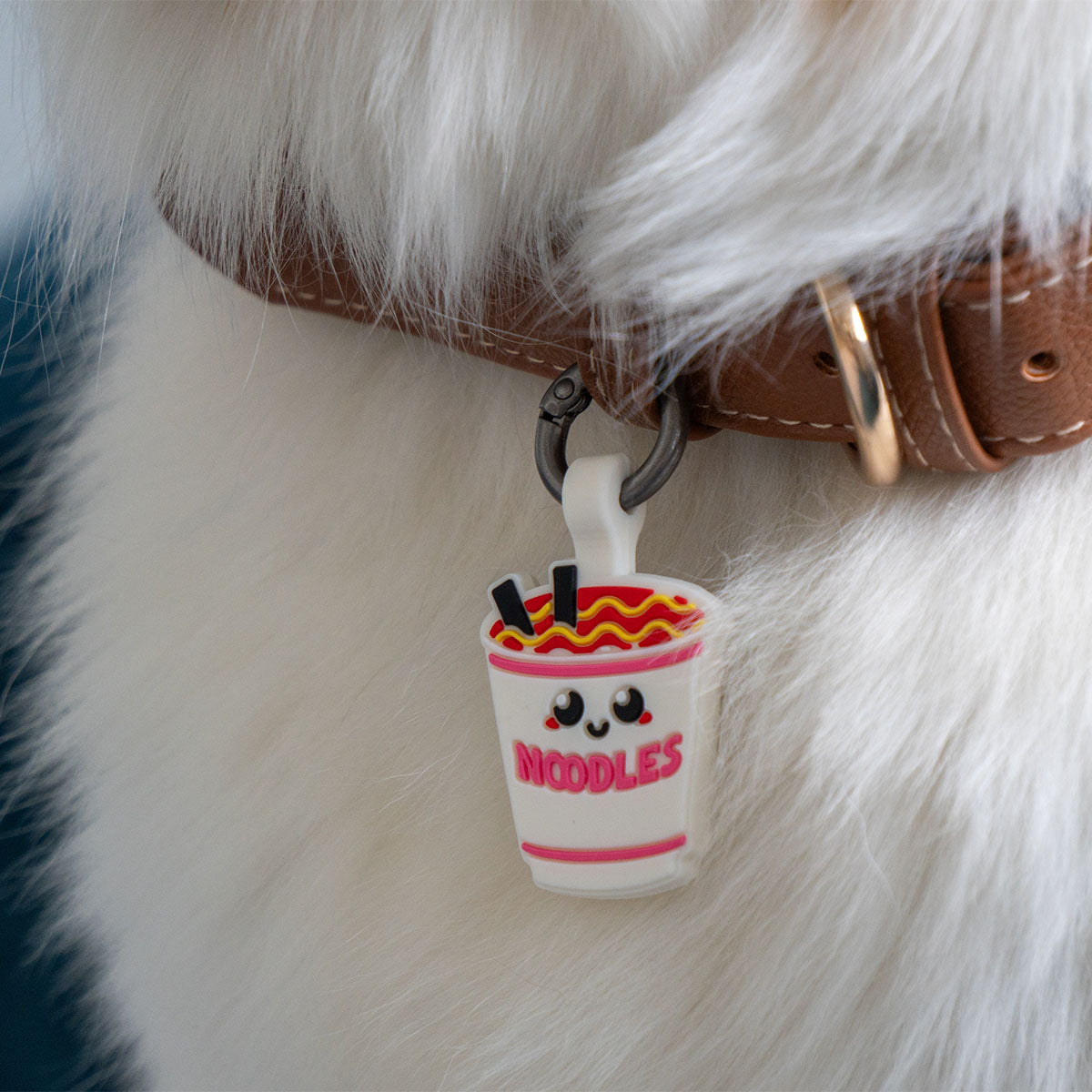Ramen | Smart ID Tag: Close-up of the Ramen tag on a brown leather collar