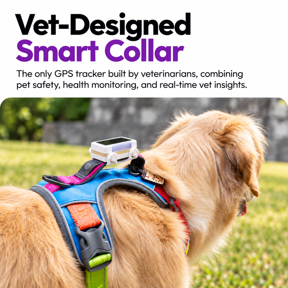 Smart GPS & Health Tracker, White / Gold