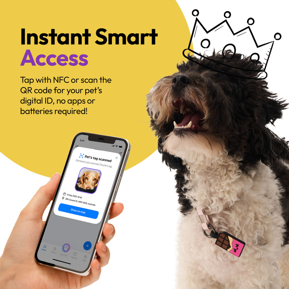 Smart ID Tag, Chocolate Pink