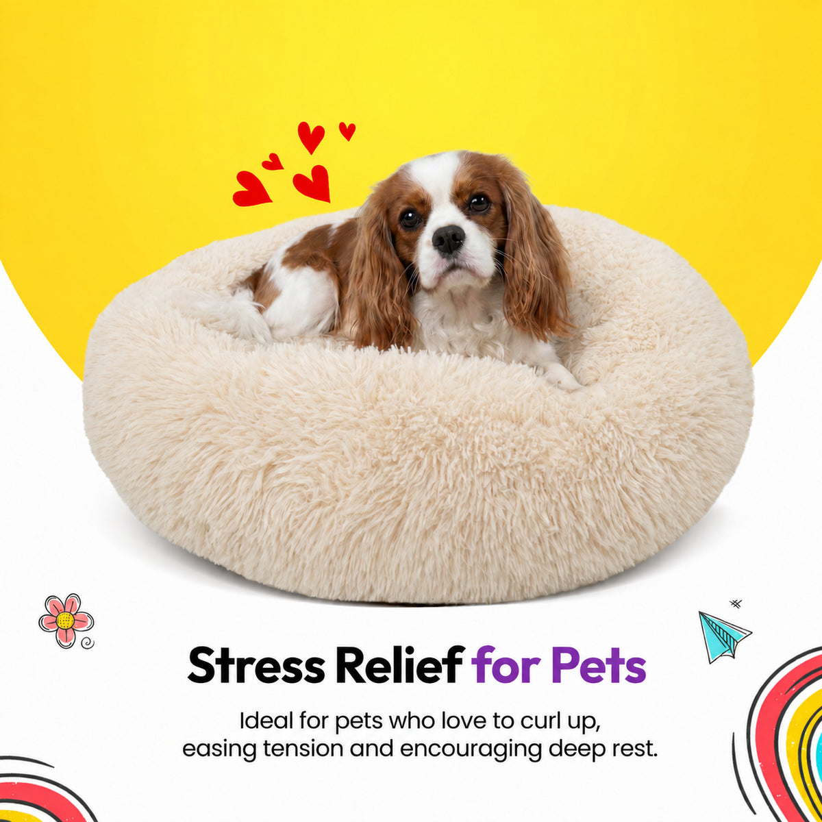 Cream | Fluffy Shag Calming Round Bed: Cavalier puppy in the Cream bed on a yellow graphic card