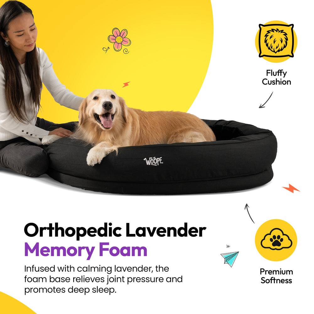 NÄP Vet Orthopedic Bed, Black