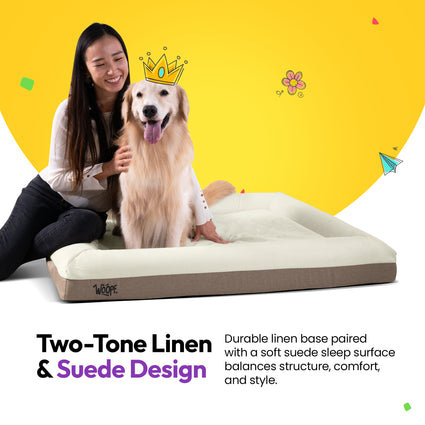 SNÜZ Orthopedic Suede Bed