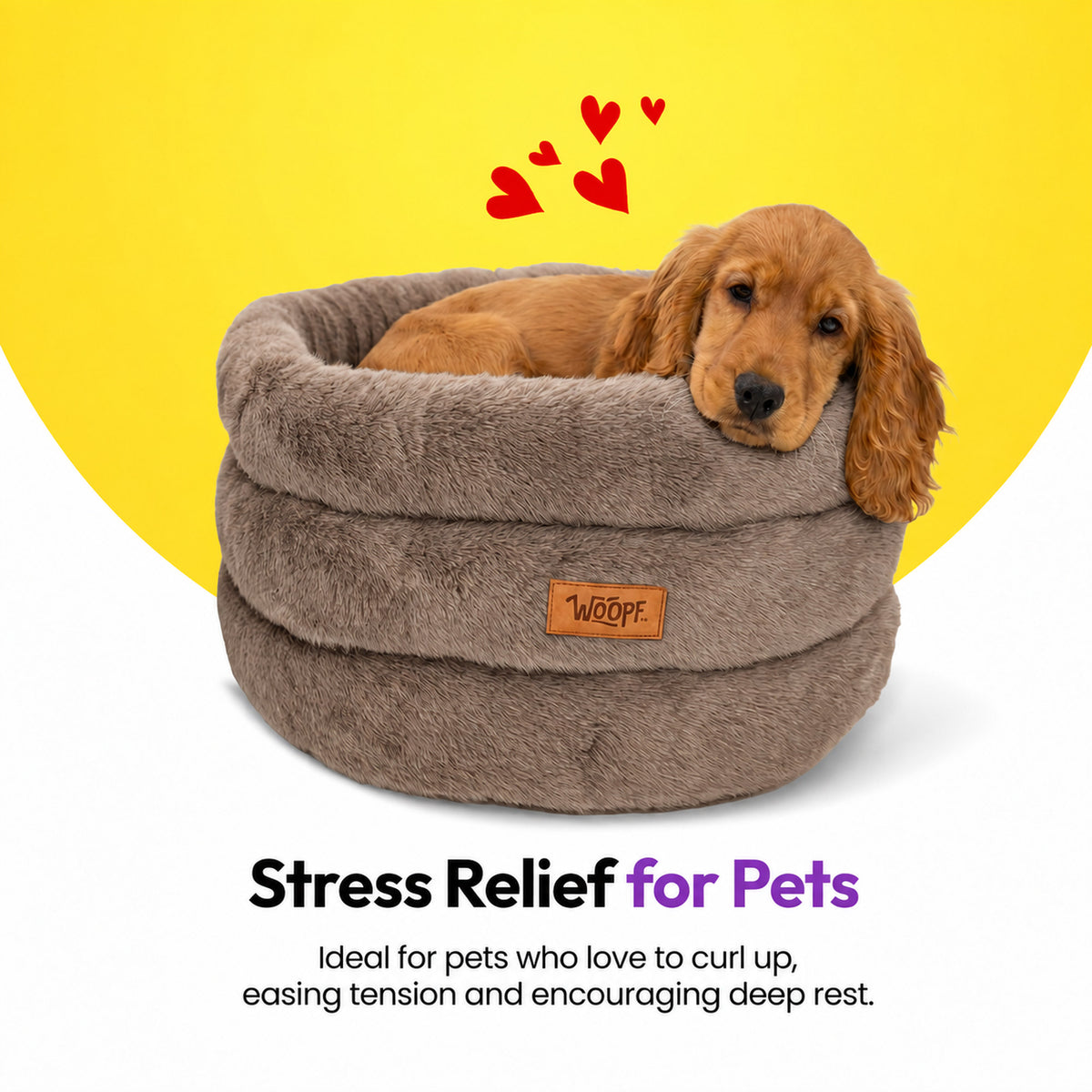 Brown | Furry Range Round Bed: Spaniel resting its chin on the rim of the Brown bed, on a yellow graphic card