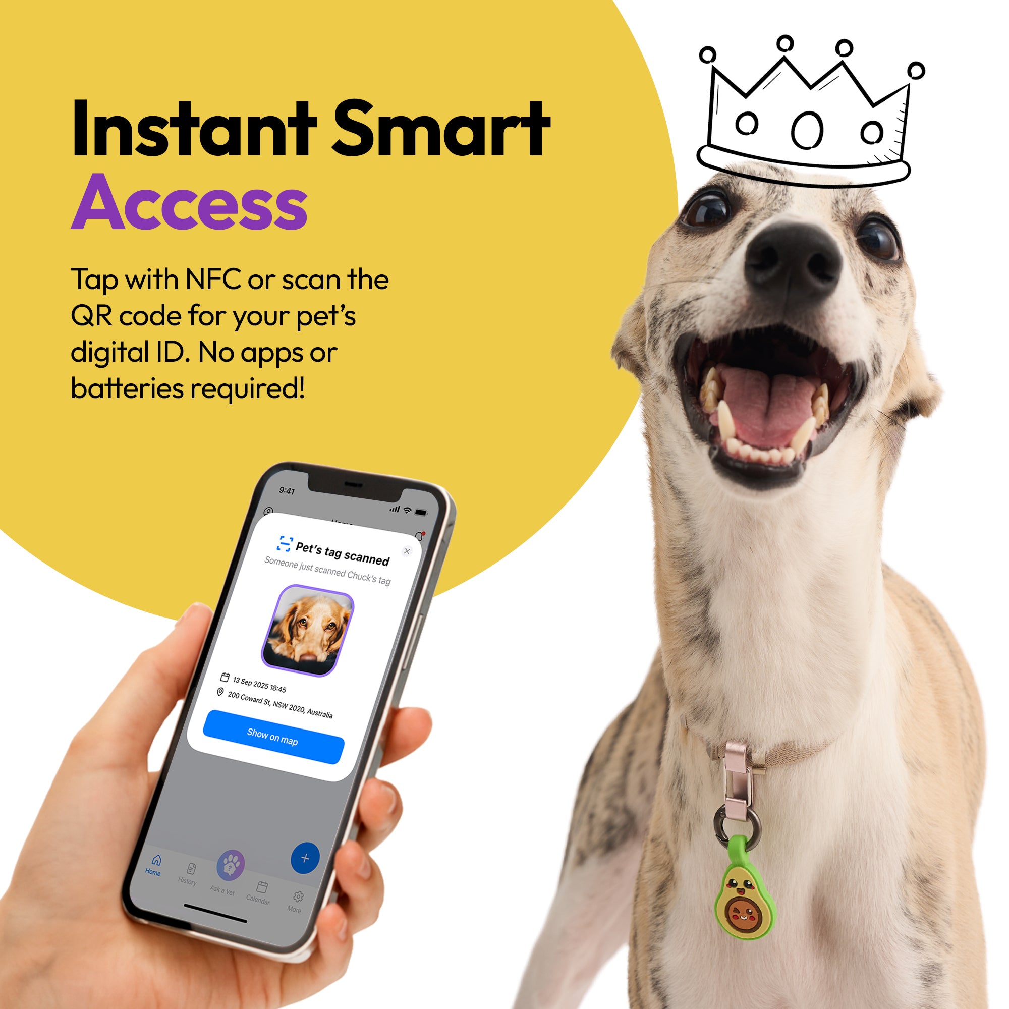 PADDY'S GARDEN BUNDLE