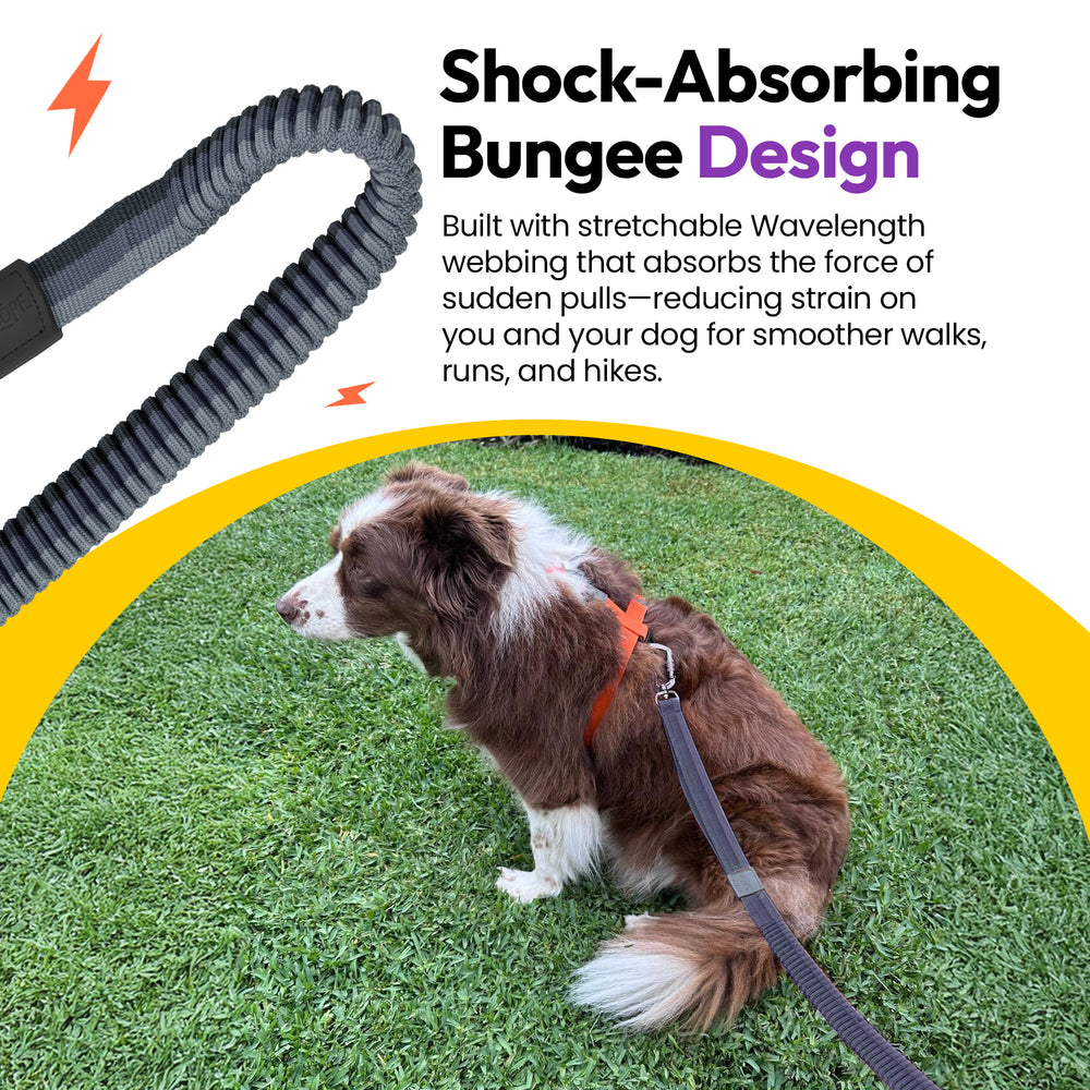 Explorer Bungee Leash, Grey