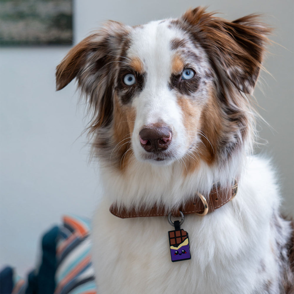 Smart ID Tag, Chocolate Purple