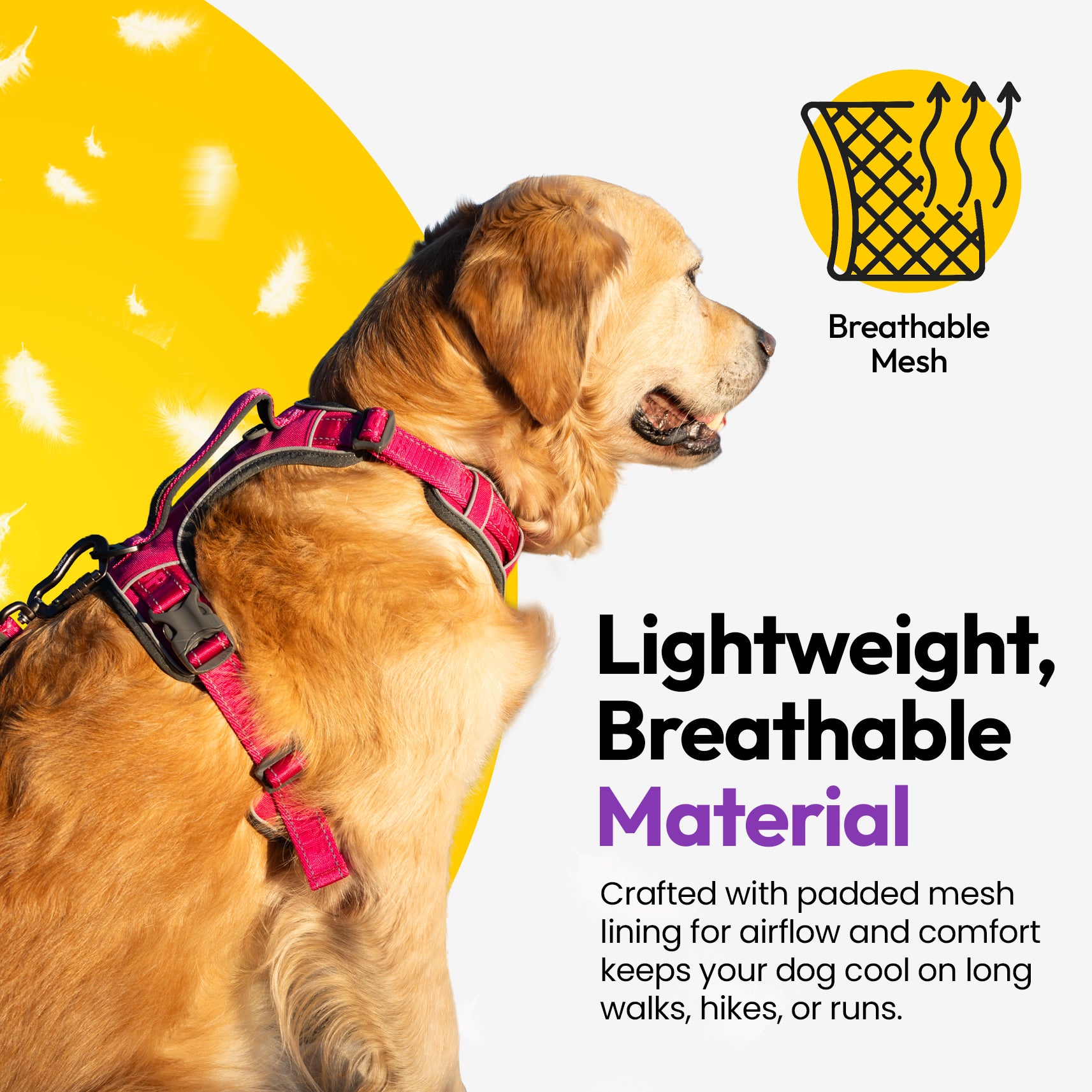 Entdecker Geschirr ohne Ziehen