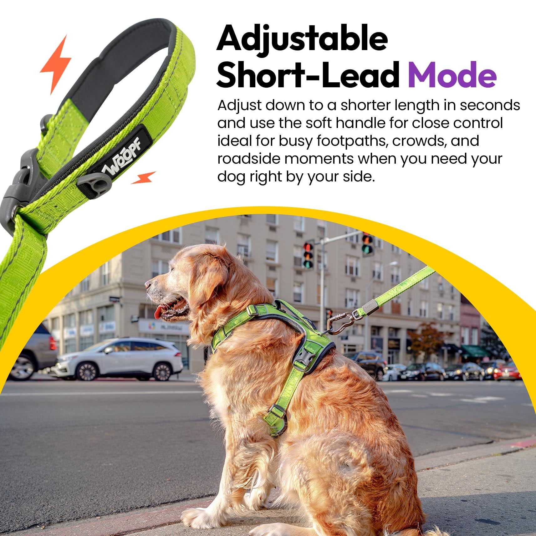 Laisse extensible Explorateur