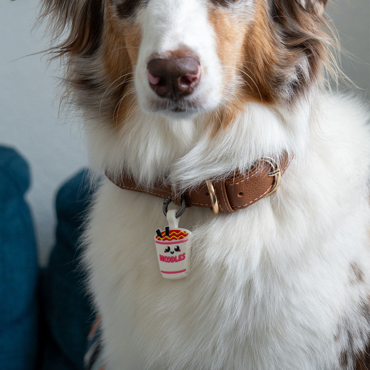 Ramen | Smart ID Tag: Australian Shepherd's brown collar with the Ramen tag