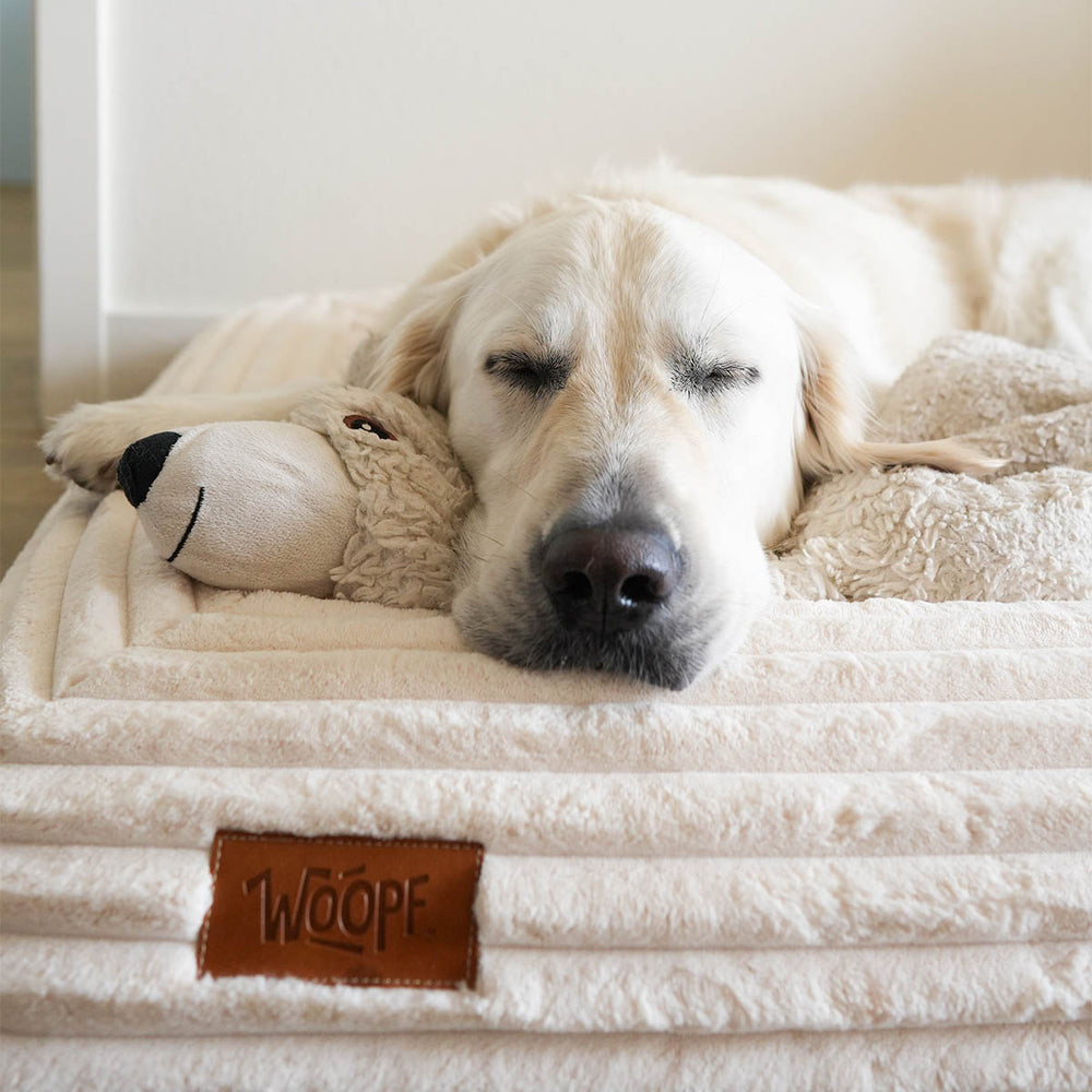 SNÜZ Orthopedic Corduroy Bed, Cream