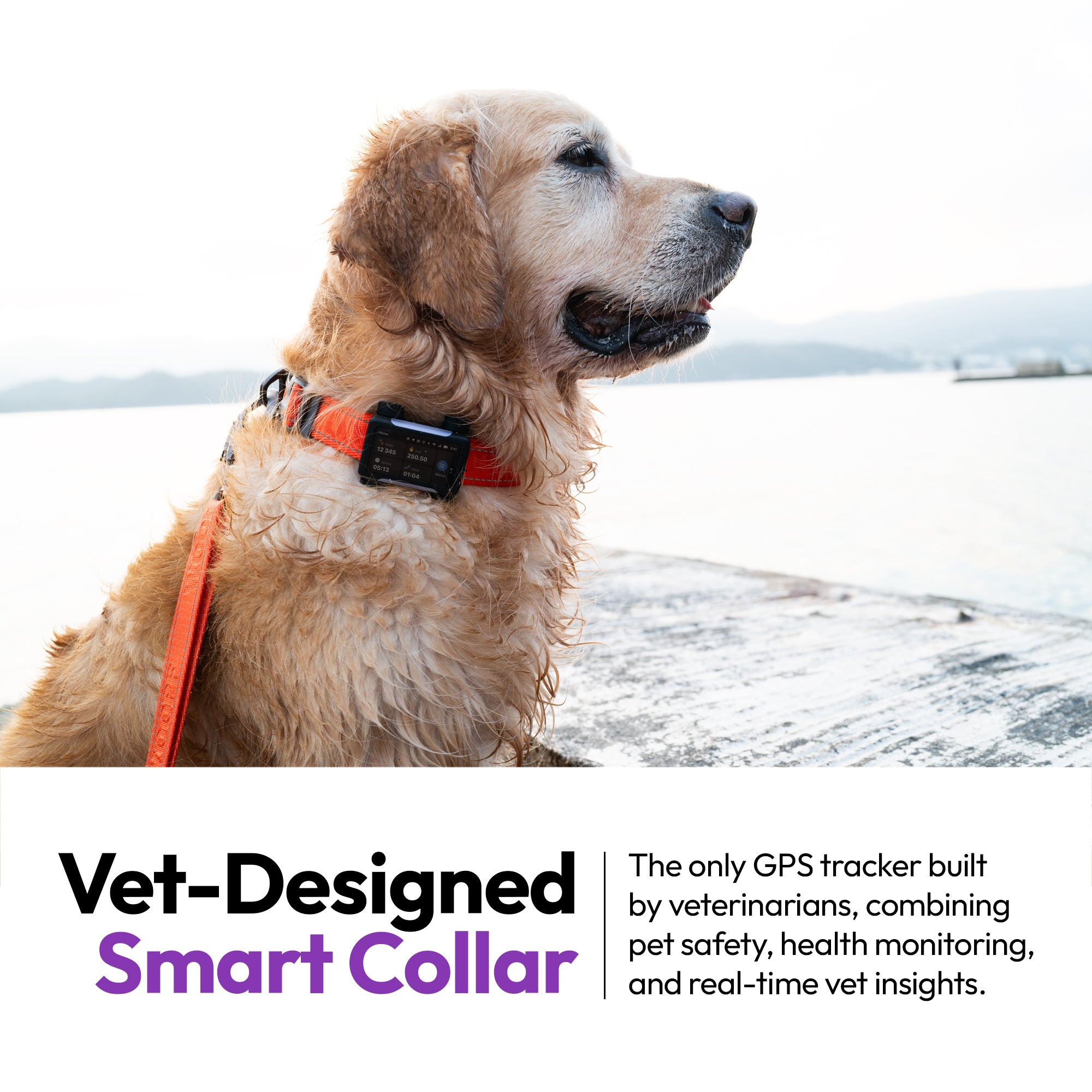 Hochwertiger GPS-, Gesundheits- und Trainingsaufzeichner