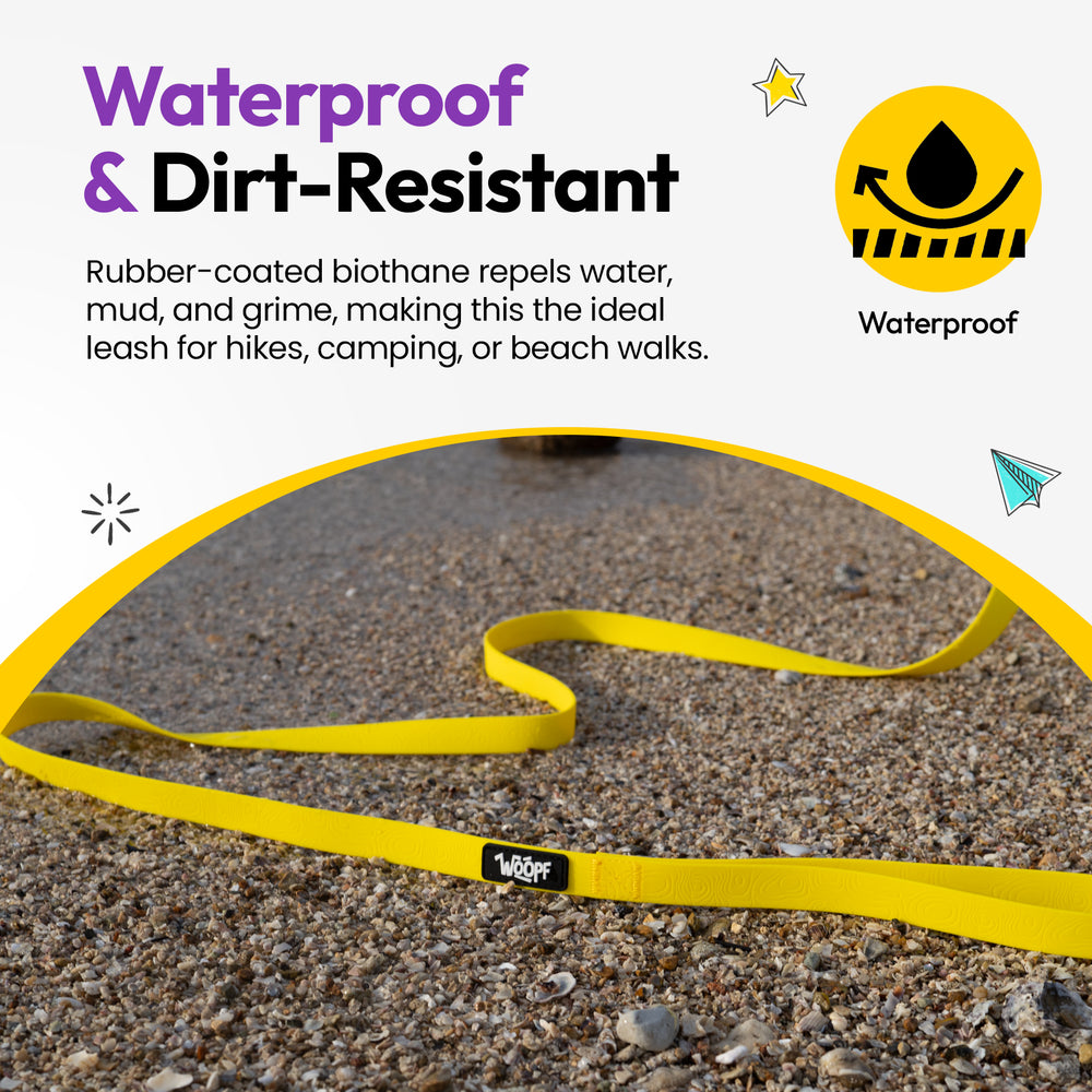 Sealskin Extendable Leash, Yellow