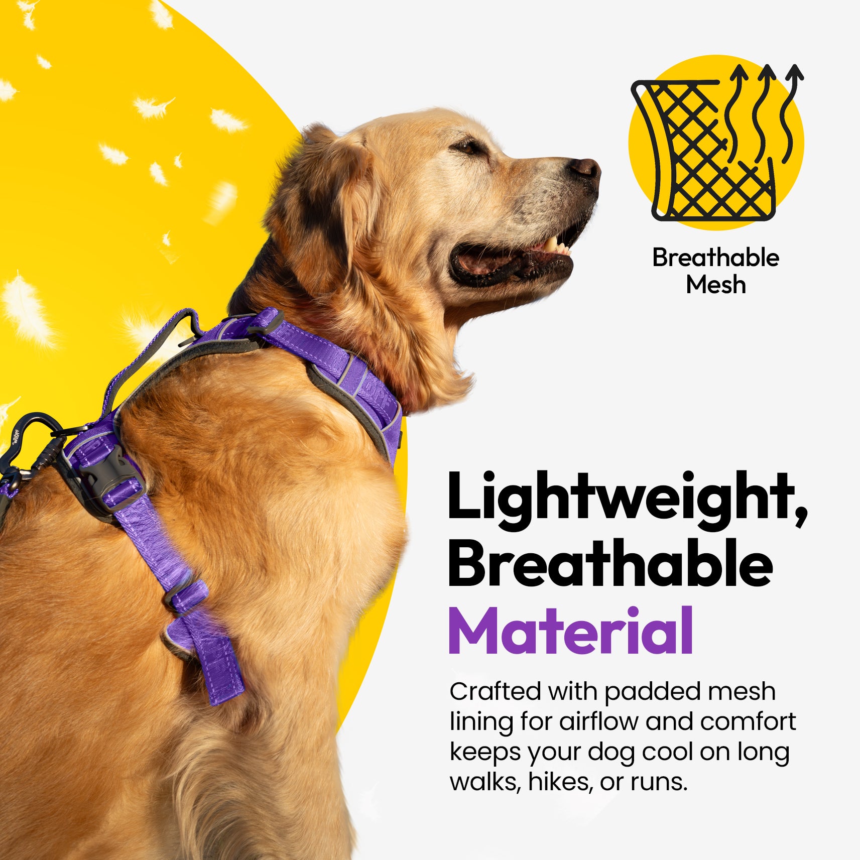 Entdecker Geschirr ohne Ziehen