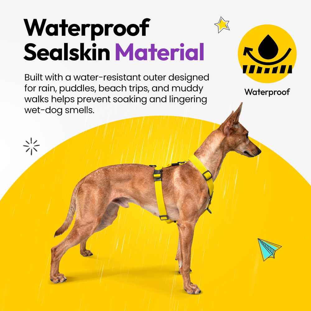 Sealskin Harness, Yellow