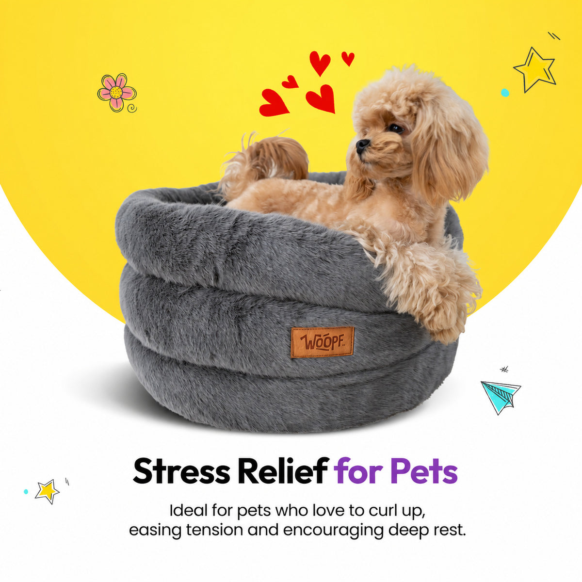 Grey | Furry Range Round Bed: Poodle leaning over the rim of the Grey bed, on a yellow graphic card