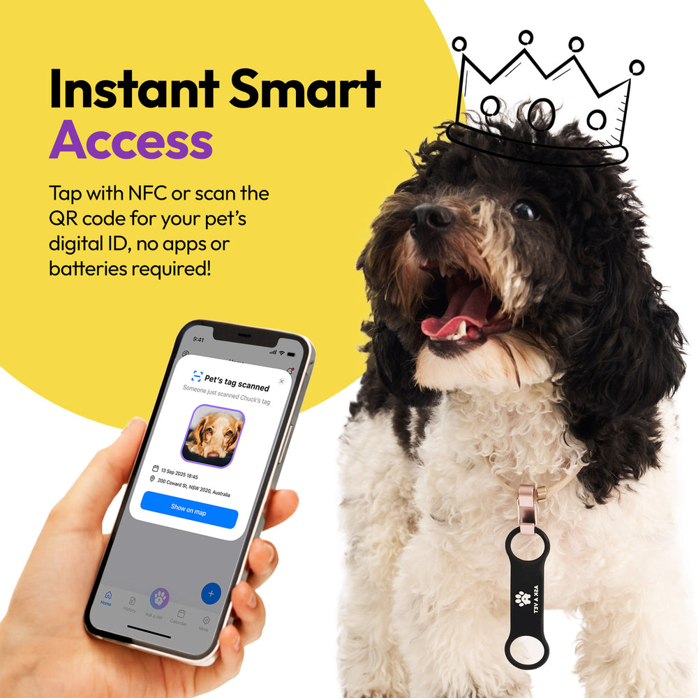 Smart ID Tag, Slide-On