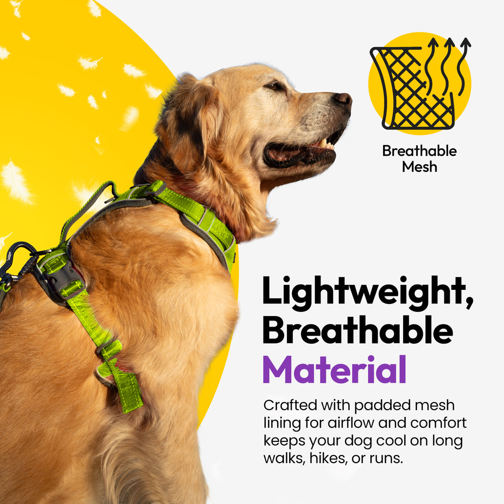 Explorer Harness, Green