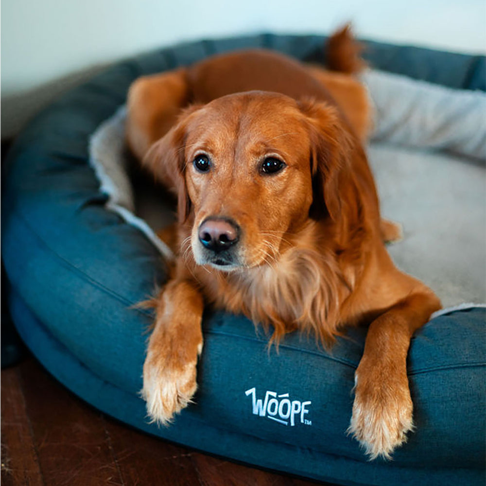 NÄP Vet Orthopedic Bed, Grey