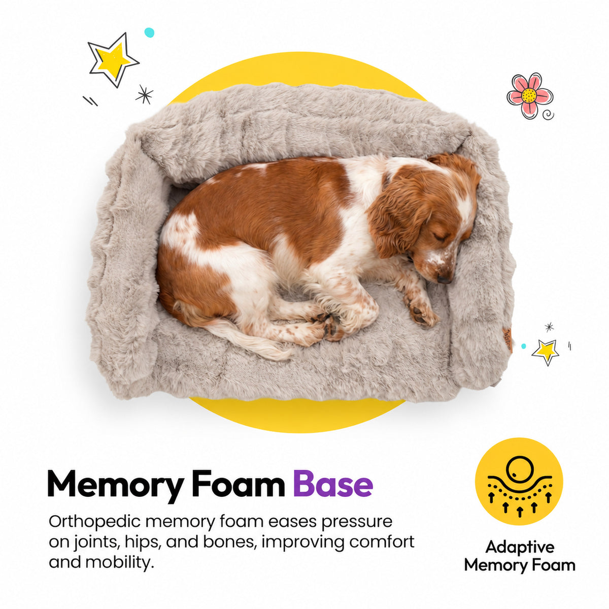Cream | Furry Curves Open Front Rectangle Bed: Memory foam base: a brown and white spaniel asleep in the Cream bed