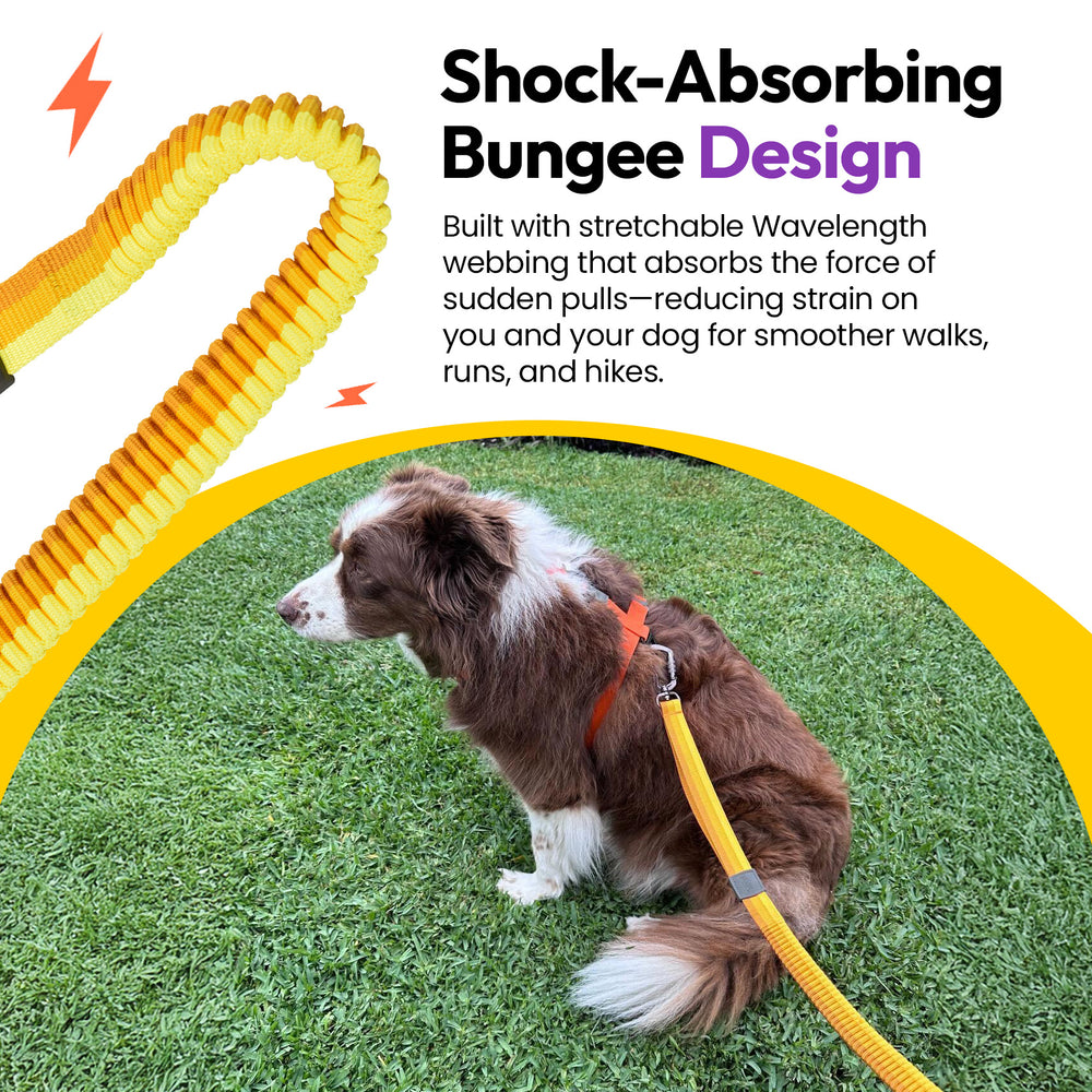 Explorer Bungee Leash, Yellow